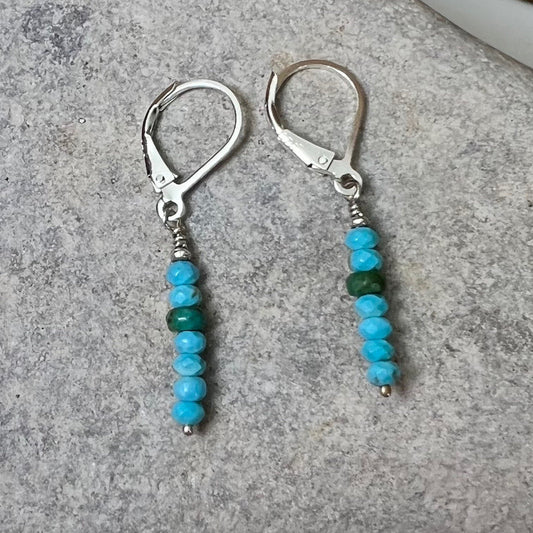 walking sticks earrings
